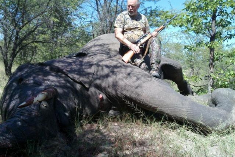 Zimbabwe - poľovačka na slona a byvola / Poľovačka na Slona