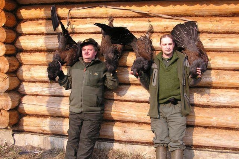 Európa / Poľovačka na hlucháňa a tetrova v Rusku