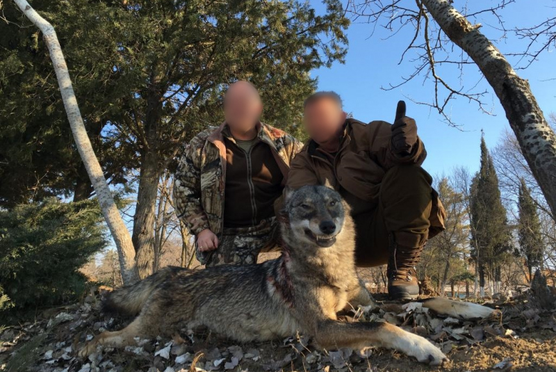 Poľovačka v Chorvátsku / Poľovačka na vlka v Macedónsku