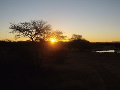 Namíbia - Diamant divočiny
