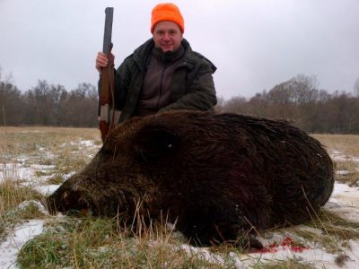 Wild boar - personal hunting