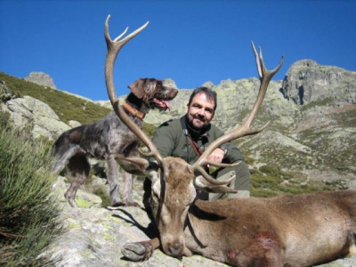 GREDOS-SPANISH IBEX