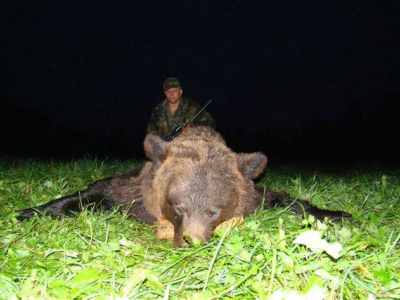 Poľovačka na medveďa a losa